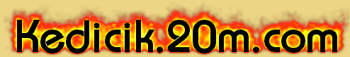 logo.PNG (33846 bytes)